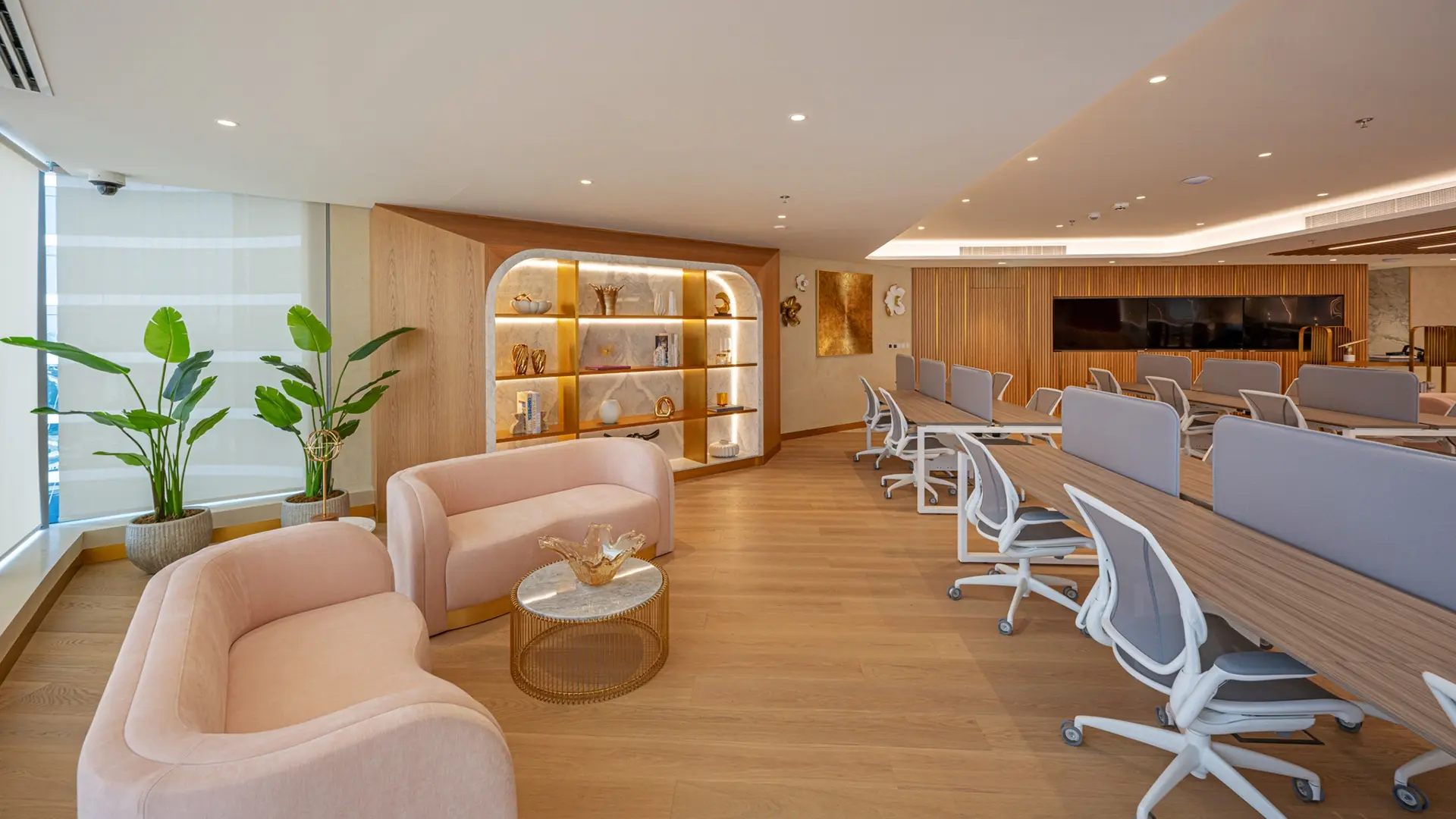 The Knowledge Academy