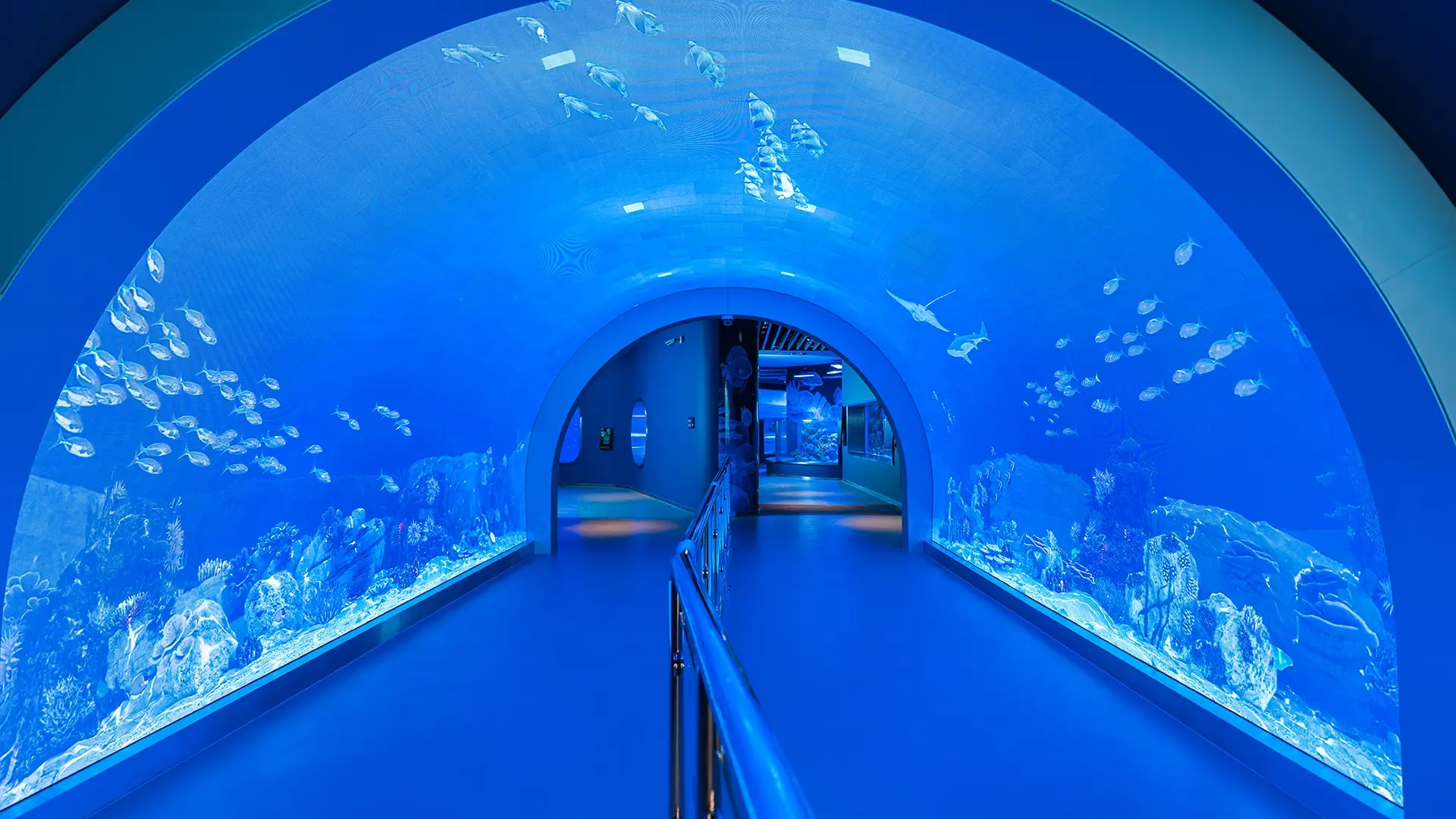 Marassi Aquarium & Underwater Zoo