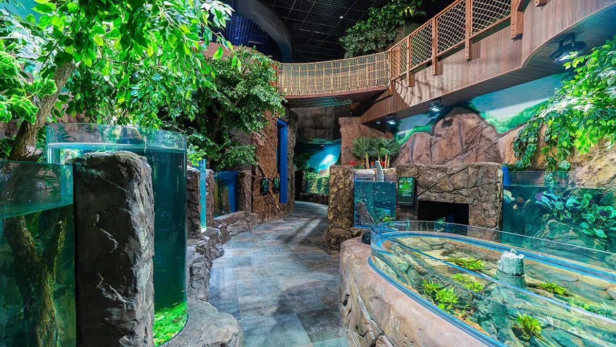 Marassi Aquarium & Underwater Zoo | Interior Fit Out 