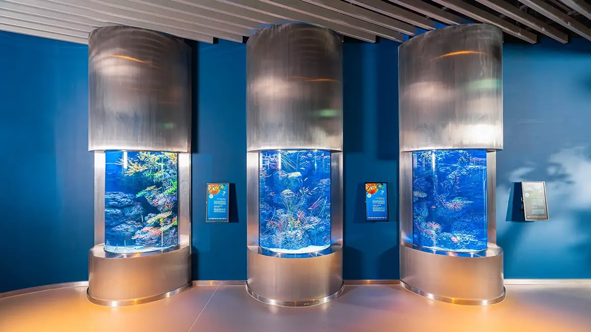 Interior Fit Out | Marassi Aquarium & Underwater Zoo