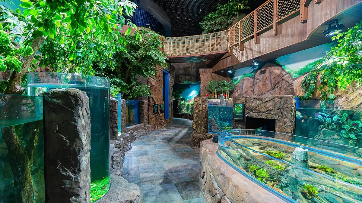 Marassi Aquarium & Underwater Zoo | Interior Fit Out 