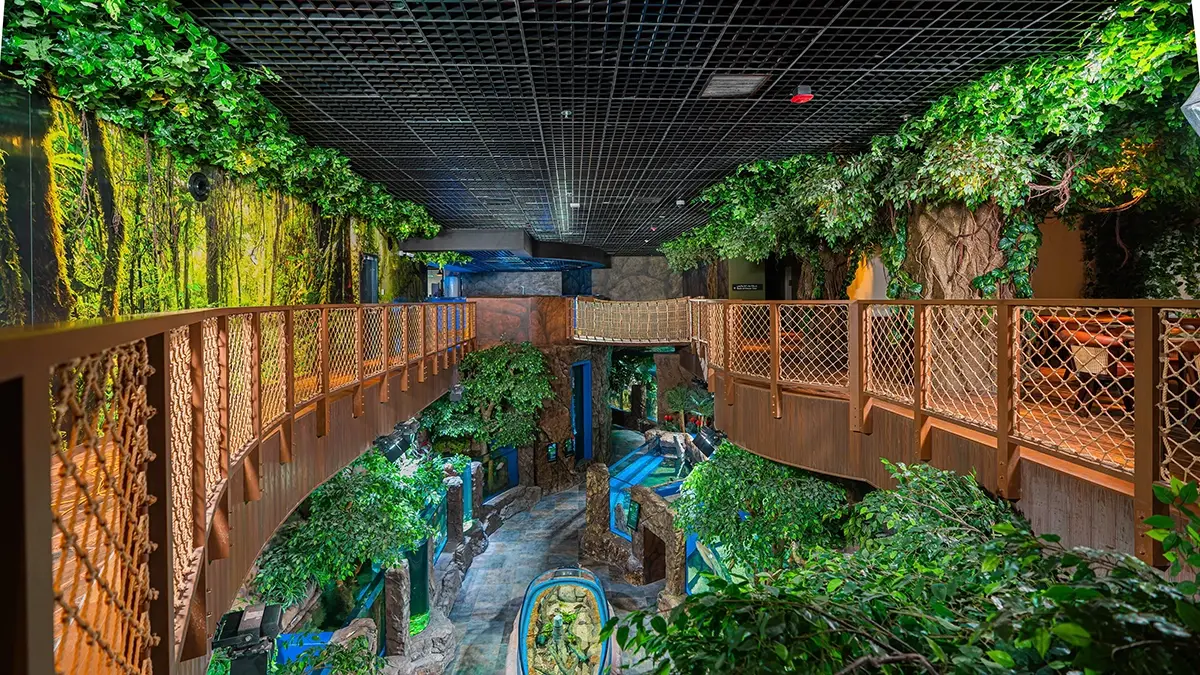 Marassi Aquarium & Underwater Zoo | HavelockOne Interiors