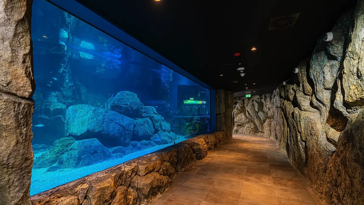 Interior Fit Out | Marassi Aquarium & Underwater Zoo