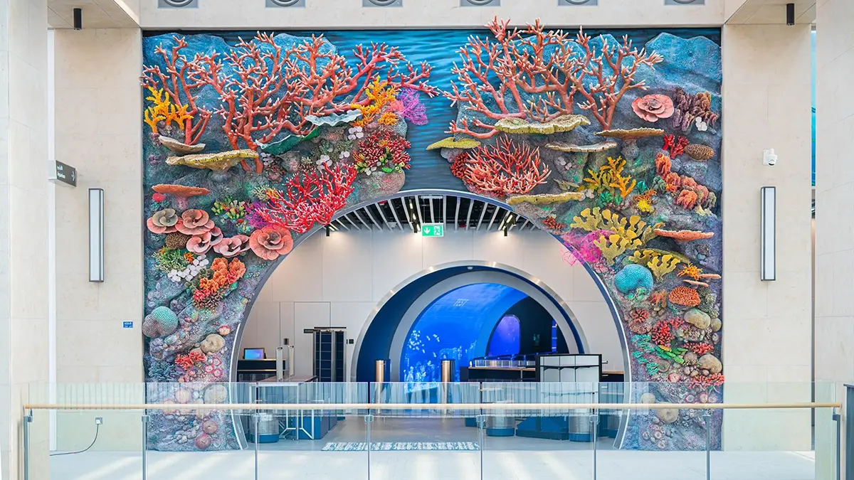 Interior Fit Out | Marassi Aquarium & Underwater Zoo