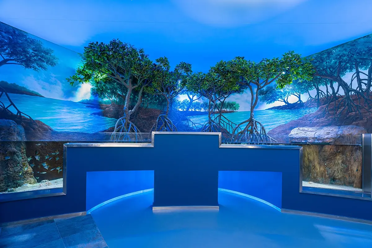 Interior Fit Out | Marassi Aquarium & Underwater Zoo