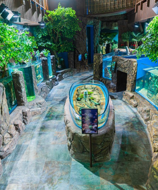 Marassi Aquarium & Underwater Zoo Image2