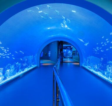 Marassi Aquarium & Underwater Zoo